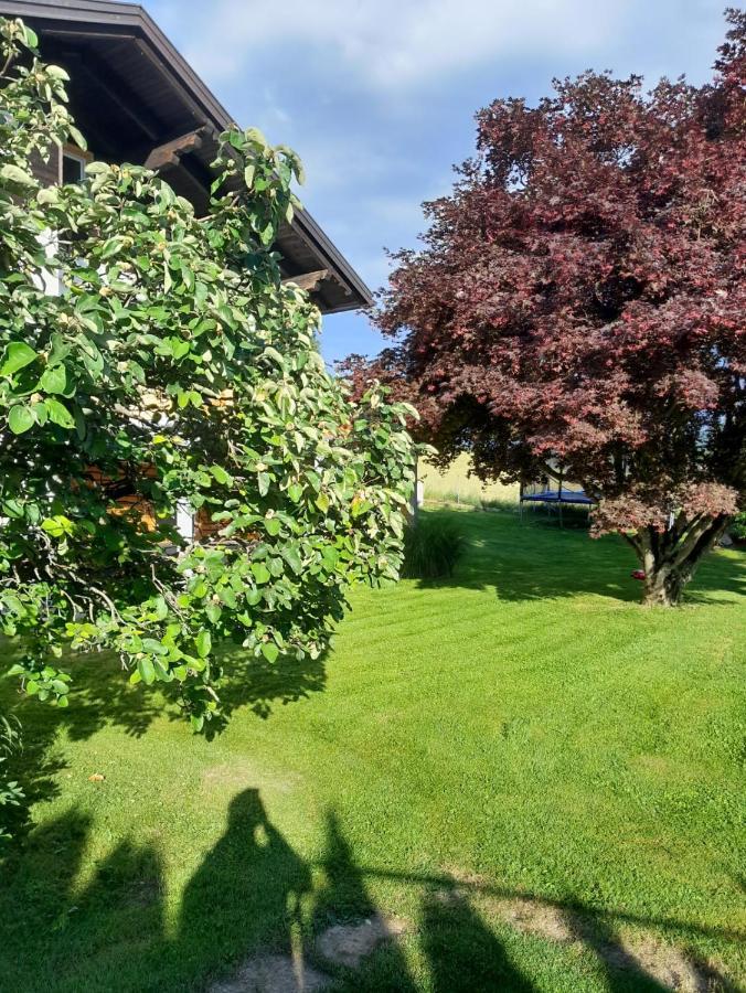 Appartamento Ewald'S Panoramablick Feldkirchen in Kärnten Esterno foto